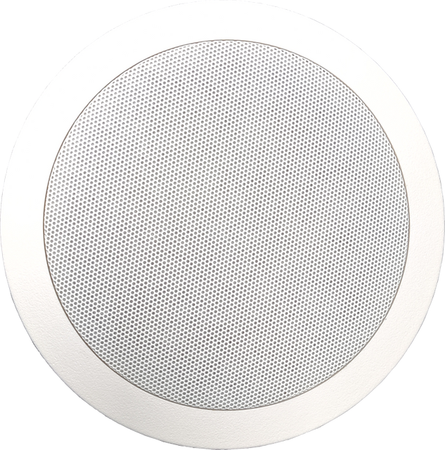 SIP Network Active Wall-mounted Speaker Outdoor Waterproof Ceiling Speaker