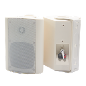 SIP Wall-mounted Network Active Speakers 741V