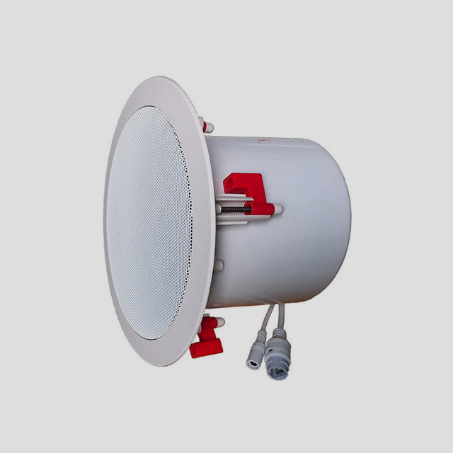 SIP743V celling speaker