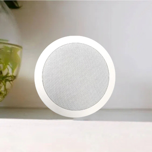 In-ceiling SIP Speaker for Modern Offices